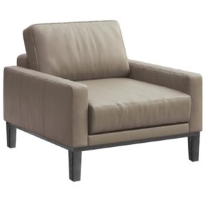 Mesonica Kožené křeslo Musso